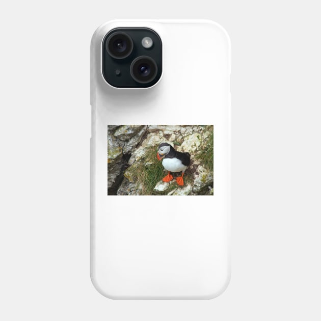 Puffin on a cliff edge Phone Case by HazelWright