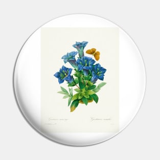 Gentiana - Botanical Illustration Pin