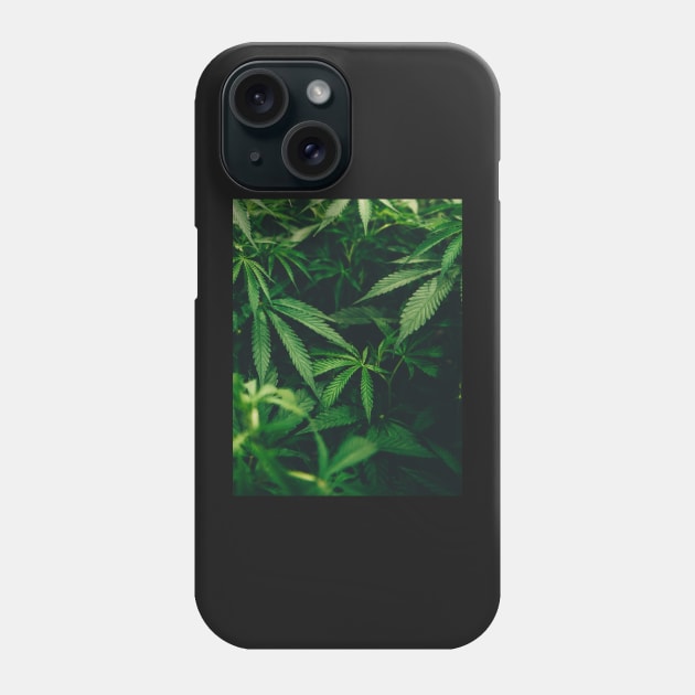 Cannabis Marijuana Leaves Phone Case by moonandcat