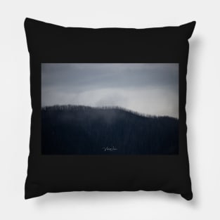 Cathedral Range, Taggerty, Victoria, Australia. Pillow