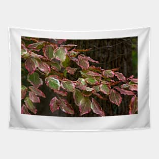 Liquid Dogwood Tapestry