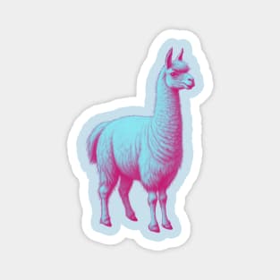 Llama Magnet