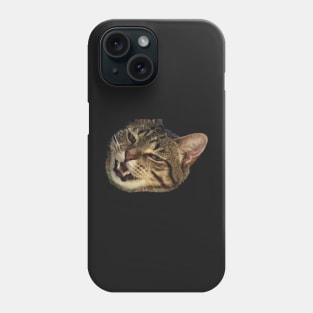 tabby cat meowing funny meme Phone Case