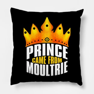 Moultrie Georgia Pillow