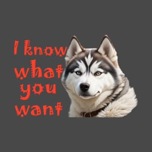i know what you want poster T-Shirt