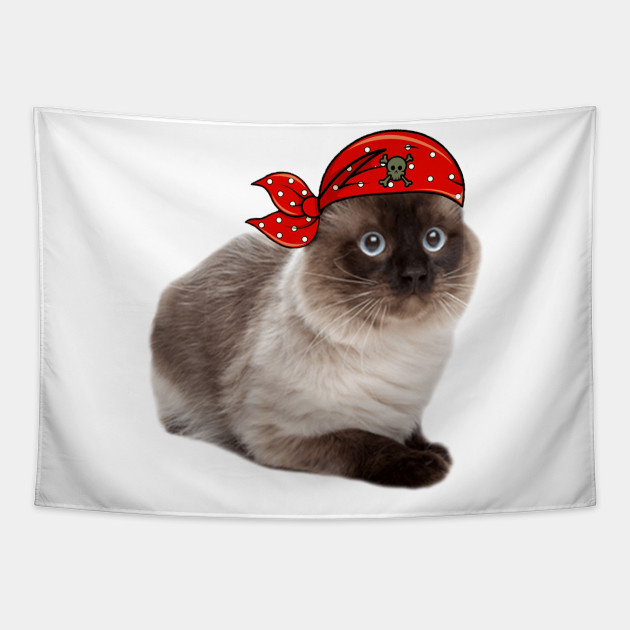 Balinese Cat Pirate Scary Halloween Funny Black Cat Pirate