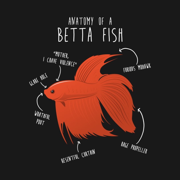 Betta Fish Anatomy by Psitta