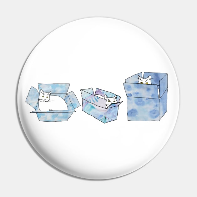 Three cats sitting in blue boxes! Pin by HFGJewels