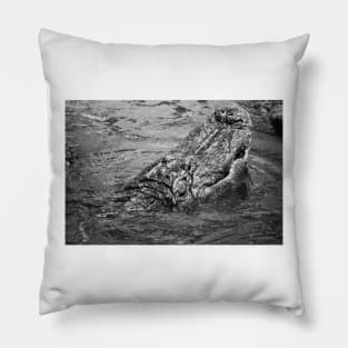 Emerging Gator black and white Pillow