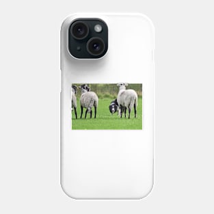 Working Sheepdog Phone Case