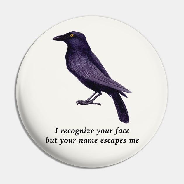 Crows Are Smart, Facial Recognition Joke Pin by Pine Hill Goods