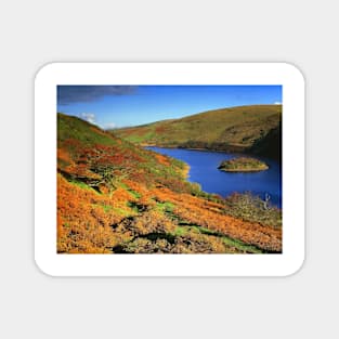 Meldon Reservoir Magnet