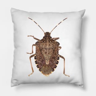 Brown marmorated stink bug Pillow