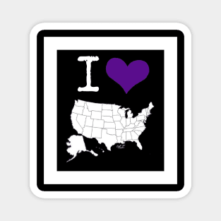 I 💜 The USA Magnet