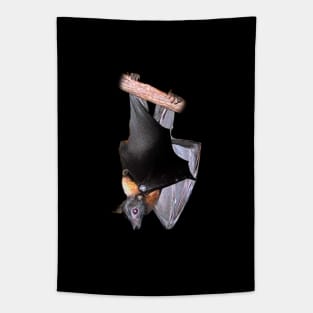 Lyle's flying fox Tapestry