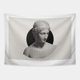 Graphic Greek Statue Design Tapestry