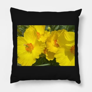 Radiant Yellow Flower Power Pillow