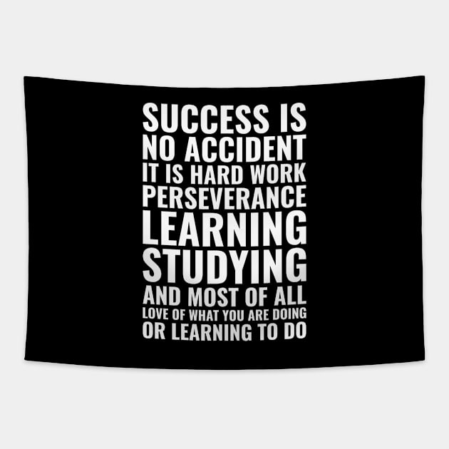 Success is no accident it is hard work perseverance learning studying and most of all love of what you are doing Motivational Tapestry by Inspirify