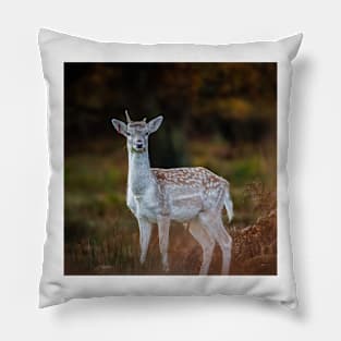 Fallow Deer, Richmond Park, London Pillow