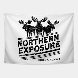 Northern Exposure distressed effect Tapestry