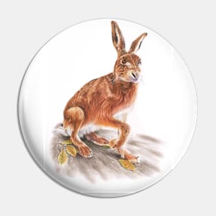 Brown Hare Pin