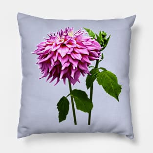 One Pink Dahlia and Buds Pillow