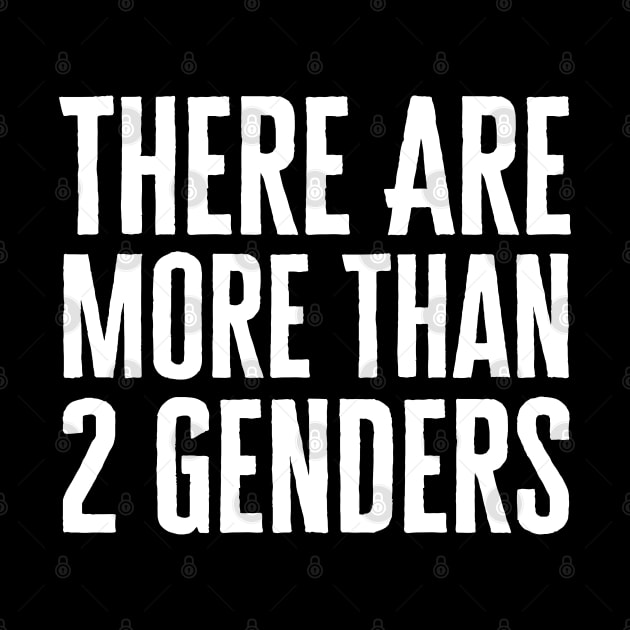 There Are More Than 2 Genders by HobbyAndArt