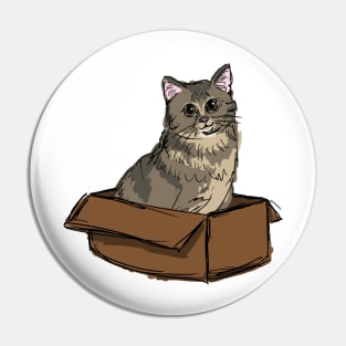 kitty in a box Pin