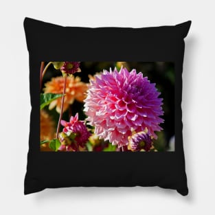 Canada. BC. Butchart gardens. Flowers of Autumn. Pillow