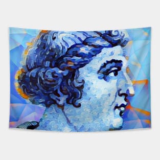 Cassius Dio Portrait | Cassius Dio Artwork | Cassius Dio Paiting 14 Tapestry