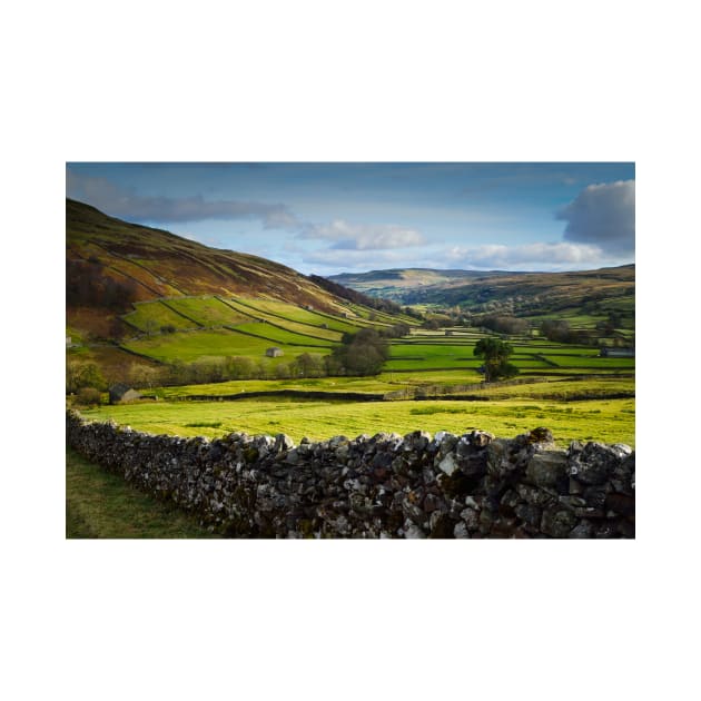 Swaledale Views by StephenJSmith