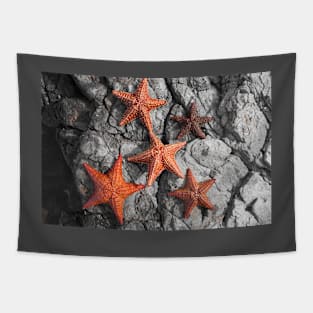 Starfish Tapestry