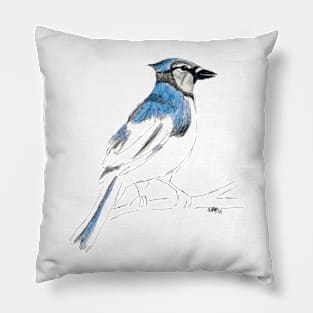 Blue Jay bird part painted sketch Pillow