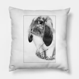 Bunny rabbit Drawing Pillow