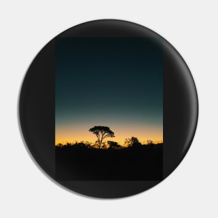 Silhouette of Tree After Sundown Pin