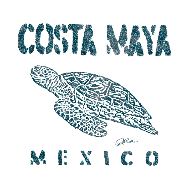 Costa Maya, Mexico, Gliding Sea Turtle by jcombs