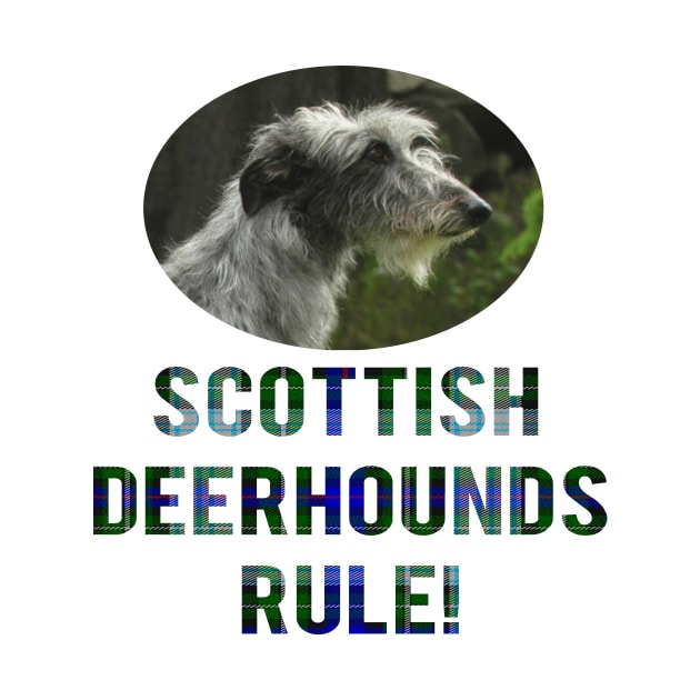 Scottish Deerhounds Rule! by Naves