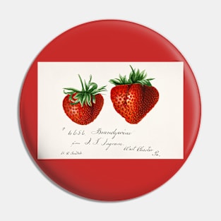 Strawberries Vintage Book Pin