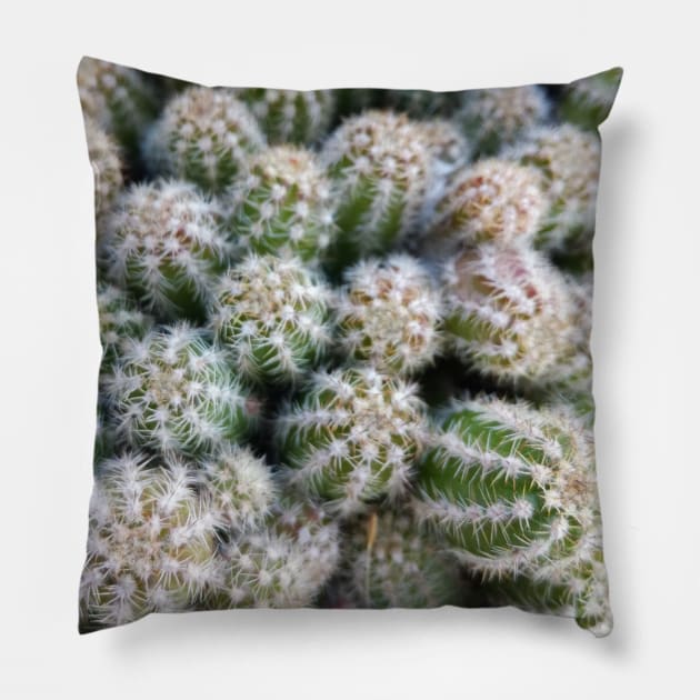 Tiny cactus Pillow by MacaArtistry