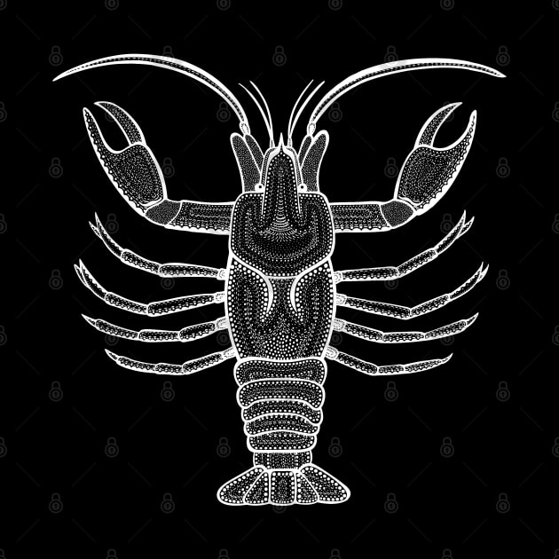 Crayfish or Crawfish - hand drawn detailed animal design by Green Paladin