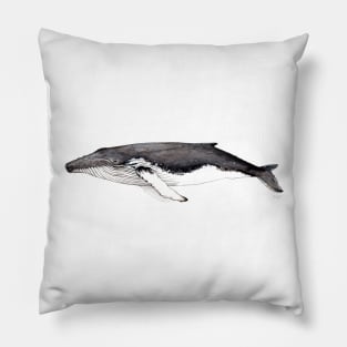 Humpback whale Pillow