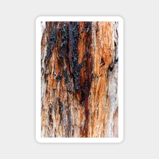 Vibrant Tree Oozing Sap From Trunk - Alternative III Magnet