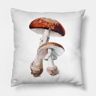 Amanita muscaria, Toadstool, Fly agaric, vintage illustration Pillow