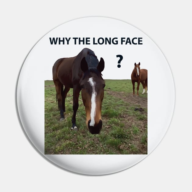 Why The Long Face? - Funny Horse Pin by Lakeric