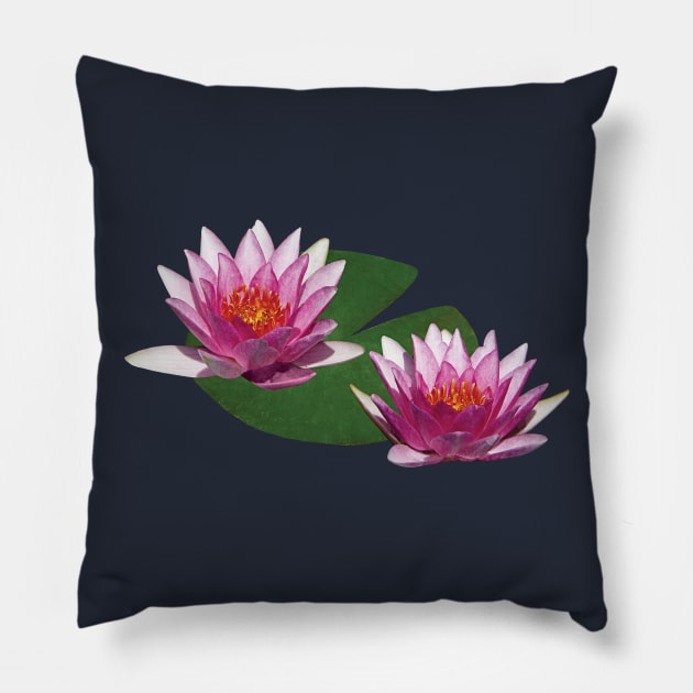 Water Lilies - Two Pink Water Lilies Pillow by SusanSavad