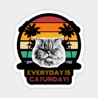 Everyday is Caturday! Magnet