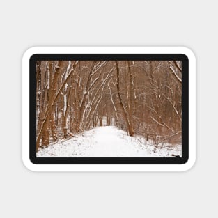 Winter Forest Tipi Trail Magnet