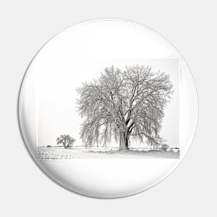 Frosted Cottonwoods Pin