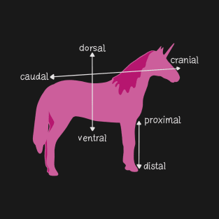 Medical Dimensions Explained On A Unicorn T-Shirt