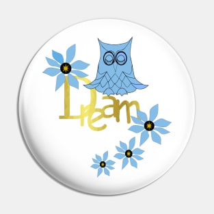 Dreamer Owl Pin